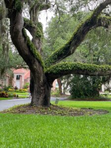 callum luna cltwuqxltgq unsplash