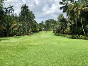 gabriella grassia 2phtzdnp ig unsplash