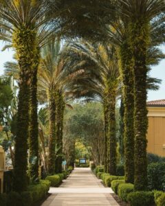 juan burgos r7wvyut4bic unsplash